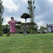 ���������� ���������, ���� ������� ��������, 52 ����, ������������ ��� ����� � ���������, c�������� ���������