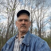 ���������� ���������, ������� �������, 65