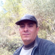  Algiers,  maliik hm, 38