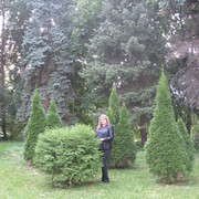   ,   , 44 ,     , c 