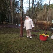 ���������� ������ �����, ������� ������, 65