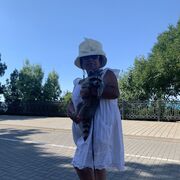 ���������� �����, ���� ������� �������, 65 ���, ������������ ��� ������, ����� � ���������