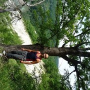 ���������� ���������, ���� ������� ������, 36 ���, ������������ ��� ������