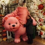 ���������� �����������, ���� ������� �������, 53 ����, ������������ ��� ����� � ���������, c�������� ���������