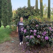 ���������� ������, ���� ������� ������, 61 ���, ������������ ��� c�������� ���������