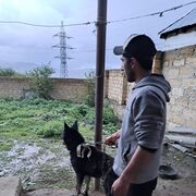 ���������� ������, ���� ������� �����, 29 ���, ������������ ��� ������, ����� � ���������