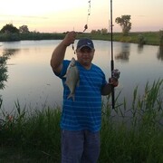 ���������� ������������, ���� ������� ���������, 39 ���, ������������ ��� ������