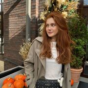 ���������� �������, ���������