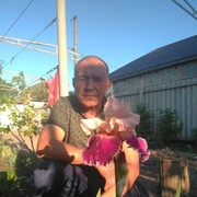  ,   , 62 ,   ,   , c 