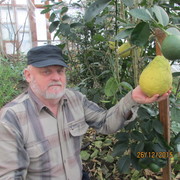  ,   Vitek, 76 ,   ,   , c 