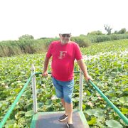  ,   , 52 ,   ,   , 