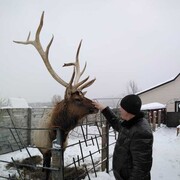  ,   , 34 ,  