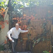 ���������� ������, ���� ������� �����, 42 ����, ������������ ��� c�������� ���������, ���������