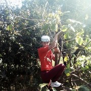 ���������� �����, ���� ������� ������, 39 ���, ������������ ��� ������, ����� � ���������, c�������� ���������