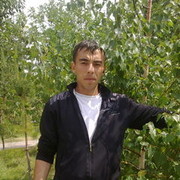  ,   DUMA, 40 ,   ,   , c 