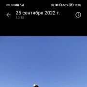 ���������� ������, ���� ������� ����, 38 ���, ������������ ��� ������, ����� � ���������