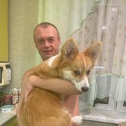 ���������� ����������, ���� ������� ������, 44 ����, ������������ ��� ����� � ���������, c�������� ���������