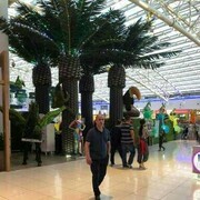  ,   Firuz, 50 ,   ,   , c 