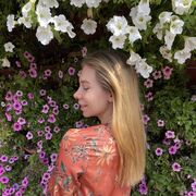 ���������� ������, ���� ������� ������, 27 ���, ������������ ��� ������, ����� � ���������