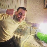 ���������� �����, ���� ������� ������, 29 ���, ������������ ��� ������, ����� � ���������, ���������