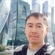  -,   , 41 ,   , 