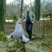 ���������� ������-��-����, ���� ������� �����, 41 ���, ������������ ��� ������, ����� � ���������, c�������� ���������