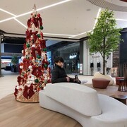 ���������� ������, ���� ������� ���, 26 ���, ������������ ��� ������, ����� � ���������