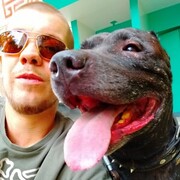 ���������� ������, ���� ������� �������, 36 ���, ������������ ��� ������, ����� � ���������, c�������� ���������