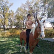  ,   Tamerlan, 30 ,   ,   , c 