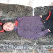  ,   , 35 ,   