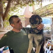  --,   , 50 ,   ,   