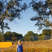  ,   Tzvetanka, 39 ,   ,   , c 