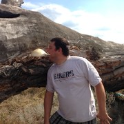 ���������� �������, ���� ������� ���������, 51 ���, ������������ ��� ������, ����� � ���������, c�������� ���������