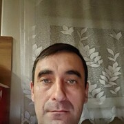  ,  , 43