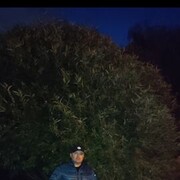 ���������� �����, ���� ������� �����, 42 ����, ������������ ��� ����� � ���������, c�������� ���������