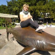 ���������� ������, ���� ������� ��������, 52 ����, ������������ ��� ������, ����� � ���������, c�������� ���������