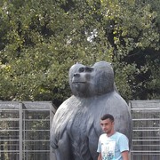  ,   , 44 ,   