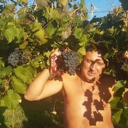 ���������� �����-���������, ���� ������� �������, 53 ����, ������������ ��� ������, ����� � ���������