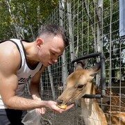 ���������� �����������-��-�����, ���� ������� ����, 33 ����, ������������ ��� ����� � ���������, c�������� ���������