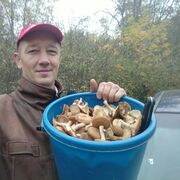 ���������� ����������, ���� ������� ������, 48 ���, ������������ 