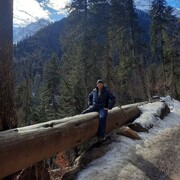 ���������� ������, ���� ������� �����, 43 ����, ������������ ��� ����� � ���������, c�������� ���������