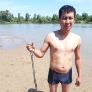 ���������� ��������, ���� ������� ������, 35 ���, ������������ ��� ������, ����� � ���������, c�������� ���������