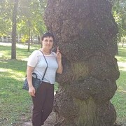  ,   , 55 ,     , 