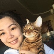  ,   , 26 ,  