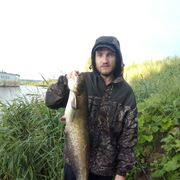 ���������� ������� �����, ���� ������� �����, 36 ���, ������������ ��� ������, ����� � ���������, c�������� ���������, ���������