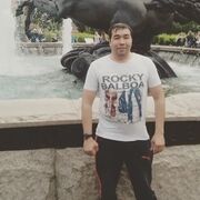 ���������� ����� �������, ���� ������� Elmurza, 40 ���, ������������ ��� ������, ����� � ���������, ���������