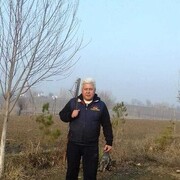  ,   , 60 ,   ,   