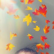 ���������� ������, ���� ������� �����, 48 ���, ������������ ��� ������, ����� � ���������