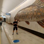 ���������� ������, ���� ������� ����, 30 ���, ������������ ��� ������, ����� � ���������