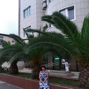  ,   , 66 ,   c 